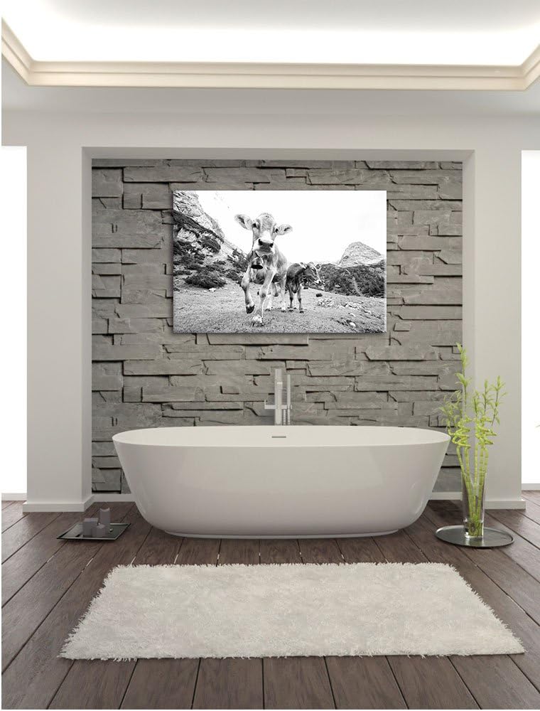 Pixxprint Almkuh auf der Weide Kunst B&W als Leinwandbild/Grösse: 100x70 / Wandbild/Kunstdruck/ferti