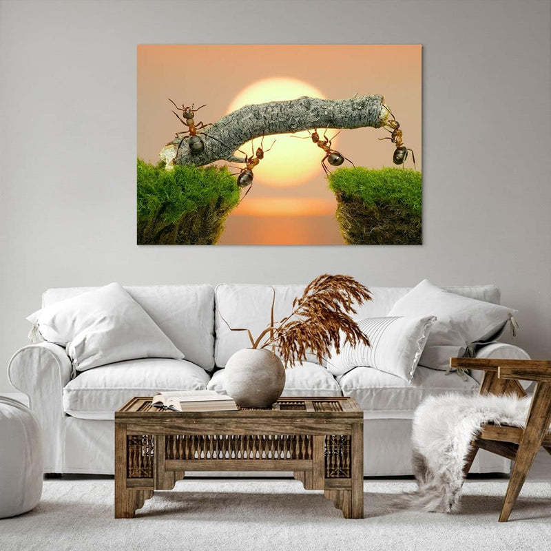 Bilder auf Leinwand 100x70cm Leinwandbild Tiere Ameisen Brücke Natur Gross Wanddeko Bild Schlafzimme