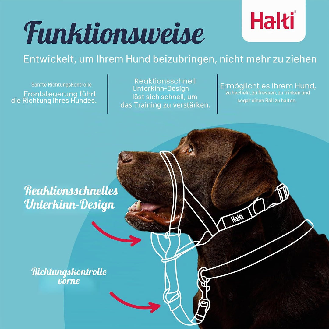 Halti Kopfhalsband und Trainingsleine Kombi-Pack, stoppt das Ziehen des Hundes auf Spaziergängen, be