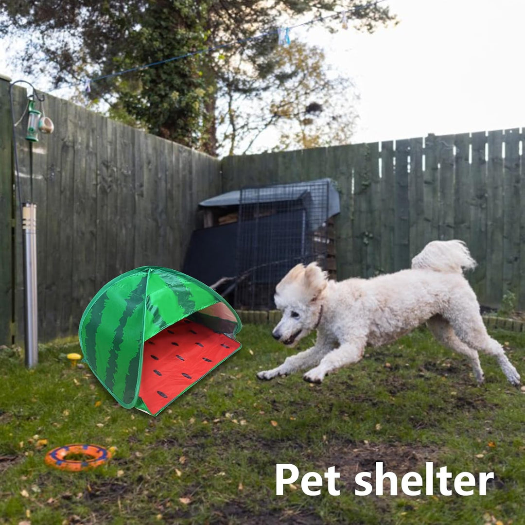 Hundestrandzelt Sonnenschutz, 1 Pack Wassermelone Tragbarer Sonnenschutz Automatisches Pop-up Strand