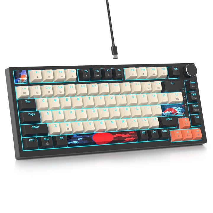 SOLIDEE Verkabelte 75% Mechanische Gaming-Tastatur,hot-swap-fähige Mechanische Tastatur mit Gasket S