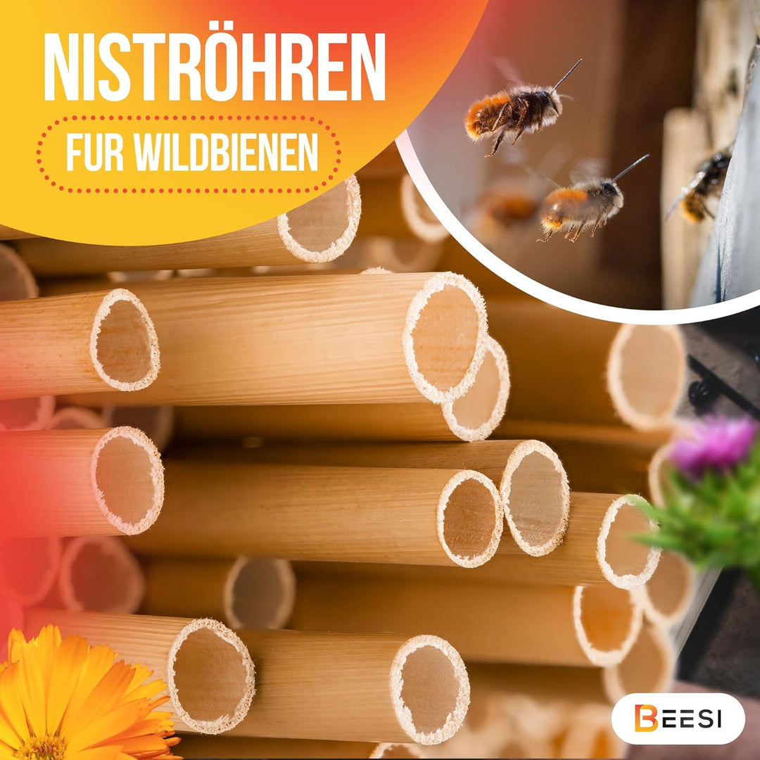 BEESI 500x Bambusgras für Insektenhotel I 14 cm Länge I 3-7mm ⌀ I Füllmaterial Bienenhotel, Wildbien