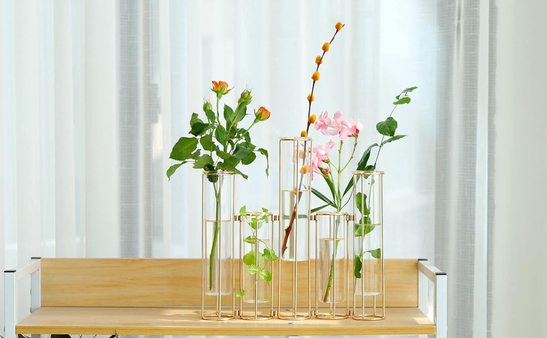 Nother Reagenzglas-Vase für Blumen, Glasvase mit Metallständer, Hydrokultur-Reagenzglasvase, 5er-Set