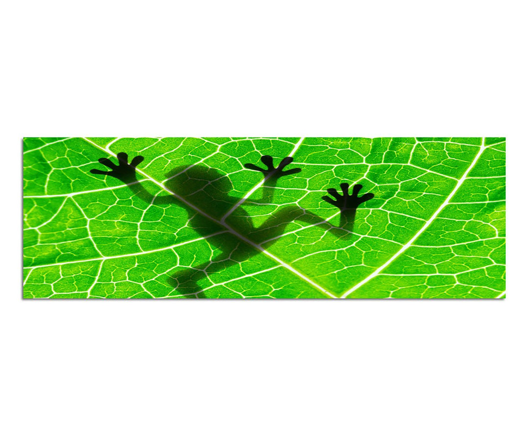 Paul Sinus Art Panoramabild auf Leinwand und Keilrahmen 150x50cm Blatt Frosch Silhouette Schatten