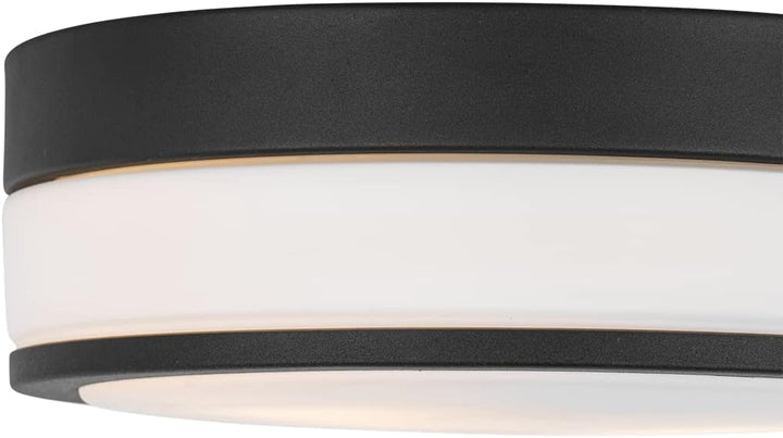 Qazqa - Klassisch I Antik Klassische AussenDeckenleuchte I Deckenlampe I Lampe I Leuchte schwarz 28