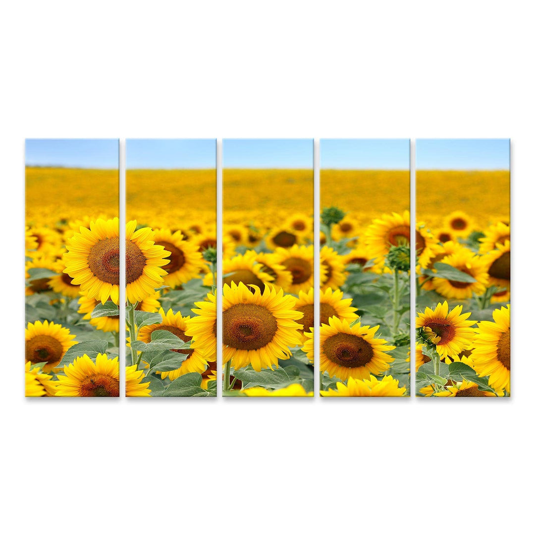 islandburner Bild auf Leinwand Schönes Sonnenblumenfeld Im Sommer Bilder Wandbilder Poster, Leinwand