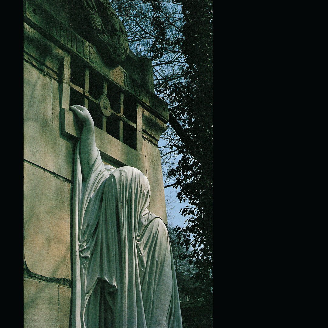 Within the Realm of a Dying Sun, Vinyl
