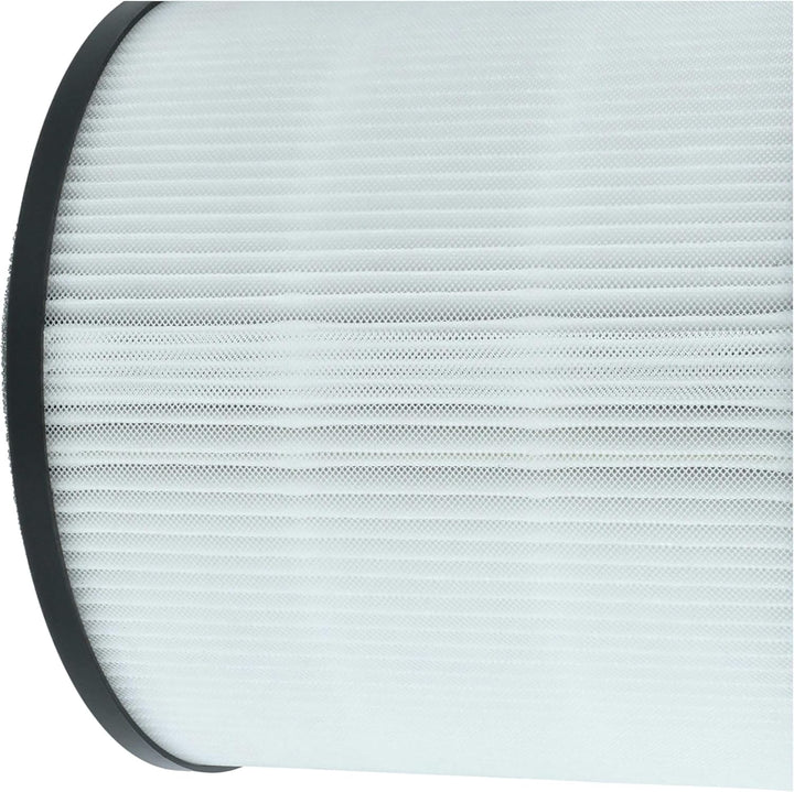 vhbw H13 Filter Ersatz für AEG AFFBRZ2, AFFCAR2 für Luftreiniger - Ersatz-Filter