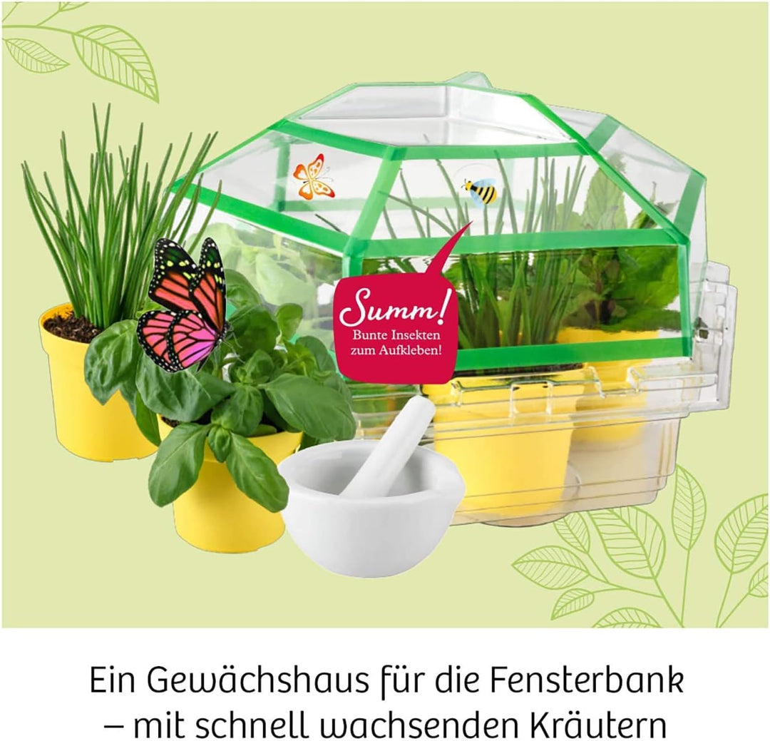 KOSMOS 632090 - Kräuter-Garten, Züchte duftende Kräuter auf der Fensterbank, Mit Gewächshaus und Mör