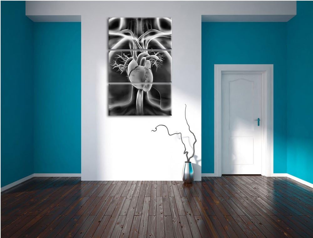 Pixxprint Herz des Menschen als Leinwandbild | Grösse: 3 Teilig (120x80) | Wandbild| Kunstdruck | fe