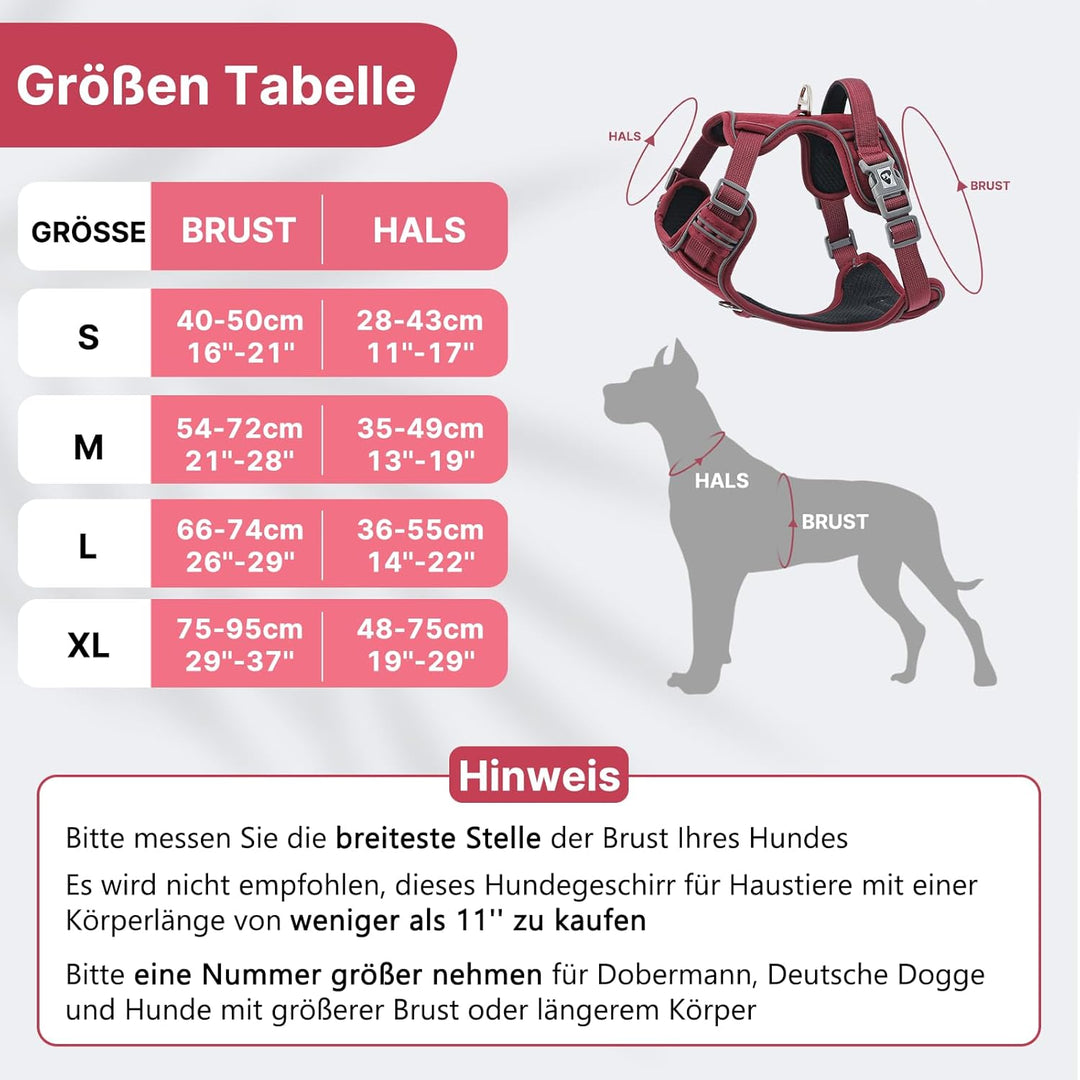 Demigreat Mittleres Hundegeschirr, Anti-Zug-Hundegeschirr mit Weich Gepolstertem Griff für das Train