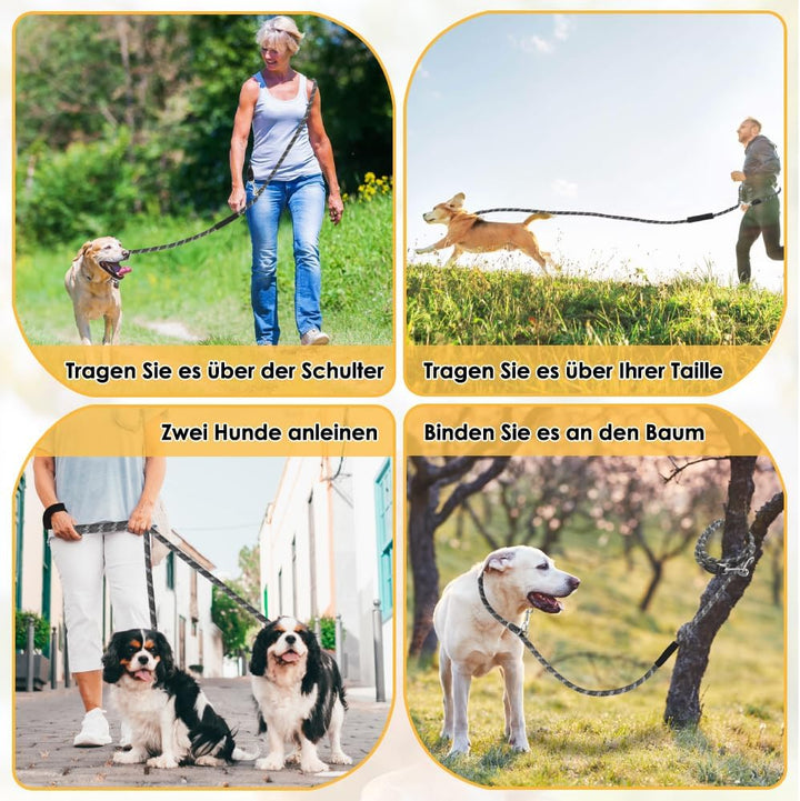 Hundeleine 3m für Kleine mittelgrosse Hunde, 8in1 Schleppleine mit 3 Verstellbare Schnalle und Griff