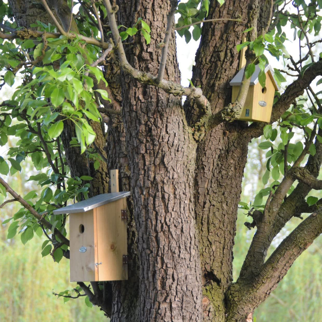 Esschert Design Beobachtungsvogel Nistkasten