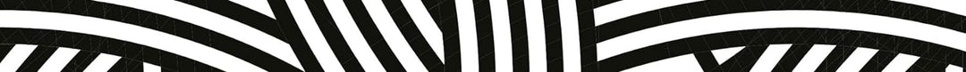 reisenthel carrybag Frame Zebra – Stabiler Einkaufskorb mit viel Stauraum und praktischer Innentasch