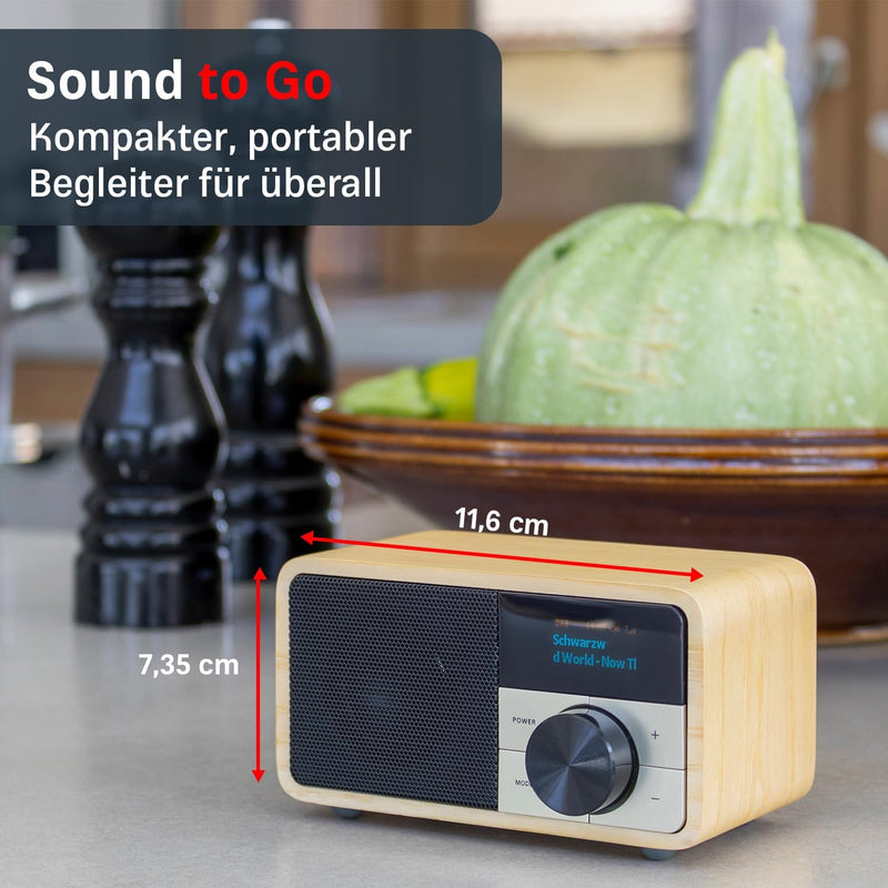 Kathrein DAB+ 1 Mini I DAB Plus Radio mit Akku I Digitalradio DAB+ & UKW mit Bluetooth, Aux 3,5mm I