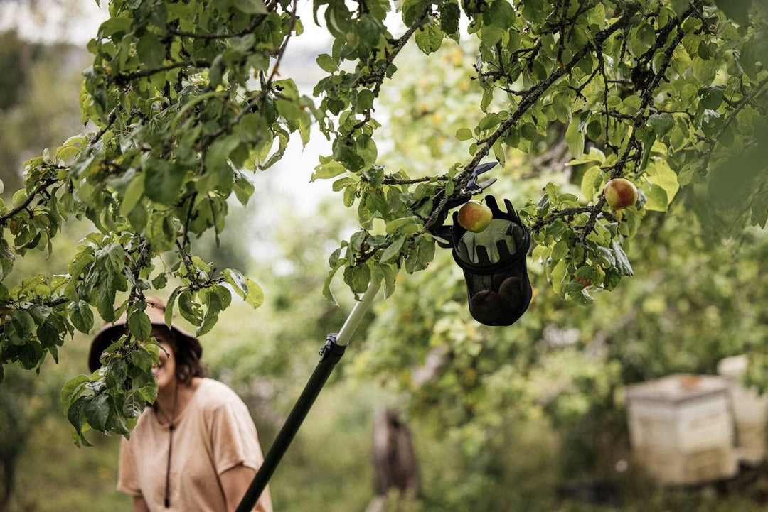Fiskars Obstpflücker für Schneidgiraffe UPX82, UPX86, UP82, UP84, UP86, Nur Gerätekopf, L x B x H: 2