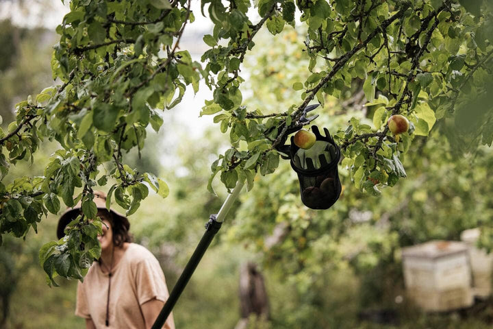 Fiskars Obstpflücker für Schneidgiraffe UPX82, UPX86, UP82, UP84, UP86, Nur Gerätekopf, L x B x H: 2