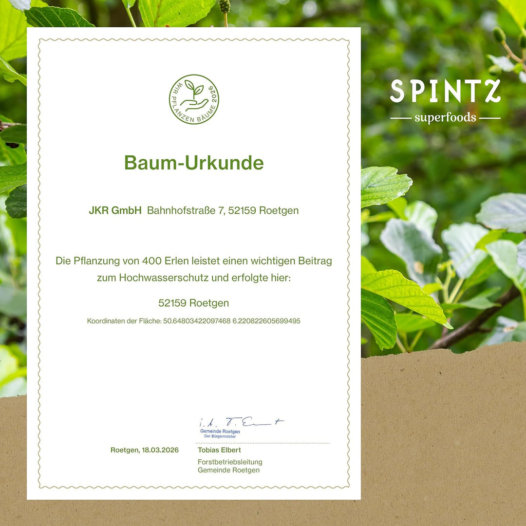 SPINTZ® | Bio Brotgewürz 1000g | Gewürz für Brot Backmischung | Brot Gewürzmischung | 100% natürlich