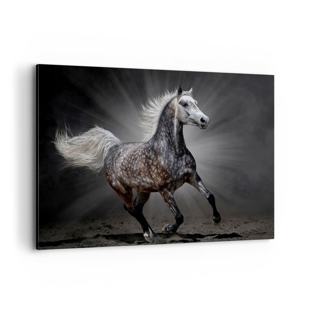 Bilder auf Leinwand 100x70cm Leinwandbild mit Rahmen Pferd Tier Natur Gross Wanddeko Bild Schlafzimm