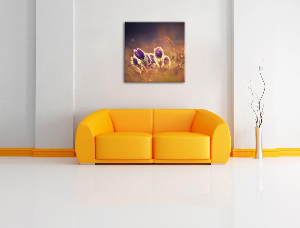 Pixxprint Lila Küchenschelle auf Bergwiese als Leinwandbild | Grösse: 70x70 cm | Wandbild | Kunstdru