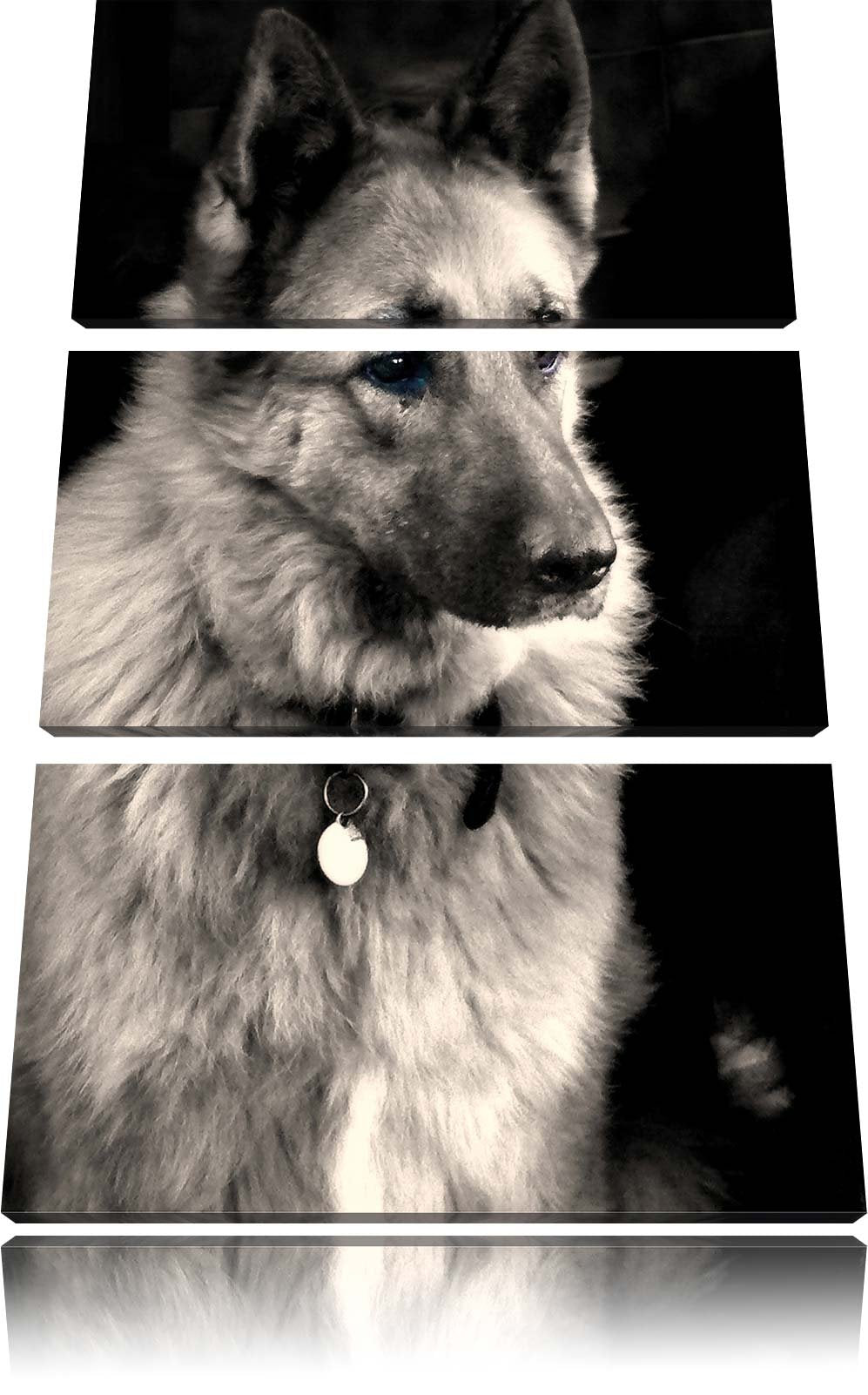 Pixxprint Zwei Hunde auf dem Teppich als Leinwandbild/Grösse: 3 Teilig (120x80 cm) cm/Wandbild/Kunst