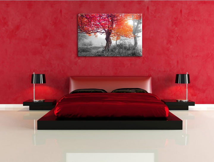 Zauberhafte Waldlandschaft schwarz/weiss Format: 100x70 cm auf Leinwand, XXL riesige Bilder fertig g