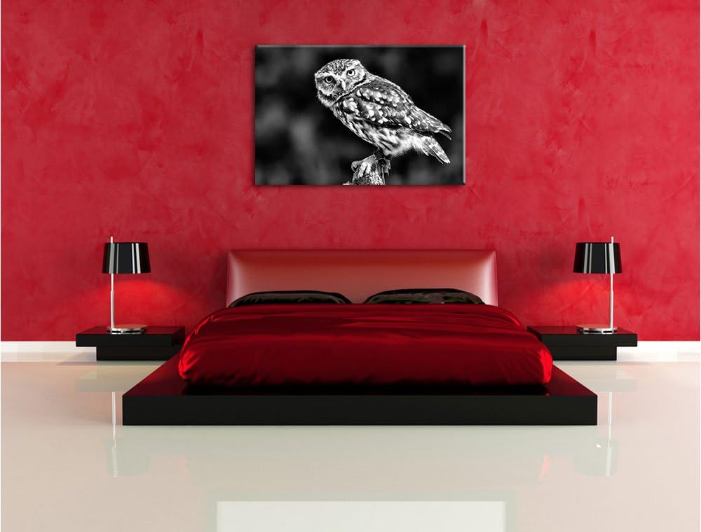 Monocrome, kleine Eule, Format: 100x70 auf Leinwand, XXL riesige Bilder fertig gerahmt mit Keilrahme