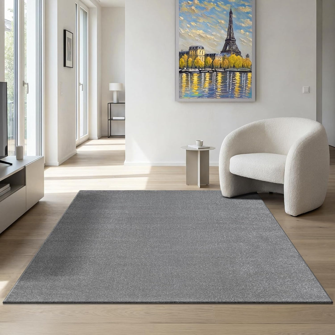 SANAT Kurzflor Teppich Wohnzimmer - Uni Modern Teppiche fürs Schlafzimmer, Arbeitszimmer, Büro, Flur