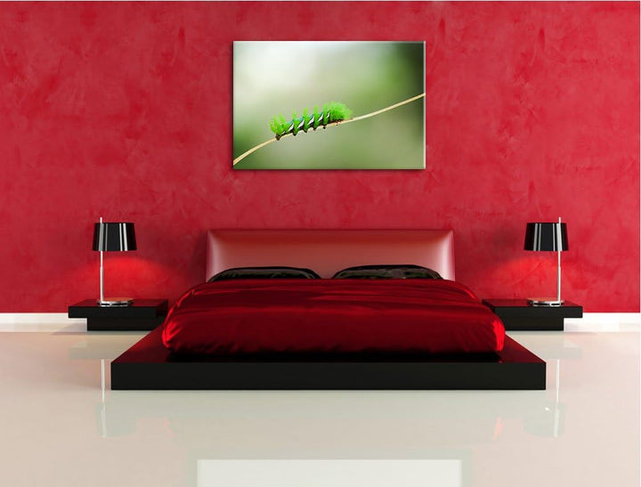 Pixxprint seltene grüne Raupe auf Leinwand, XXL riesige Bilder fertig gerahmt mit Keilrahmen, Kunstd