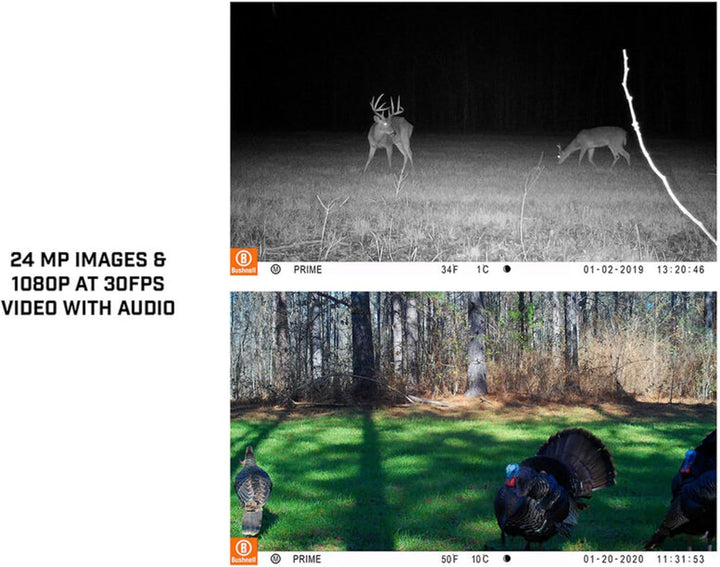 Bushnell Wildkamera Core Prime 24 MP - Fotofalle, Low Glow, hohe Reichweite, mit Befestigungsgurt, Ü