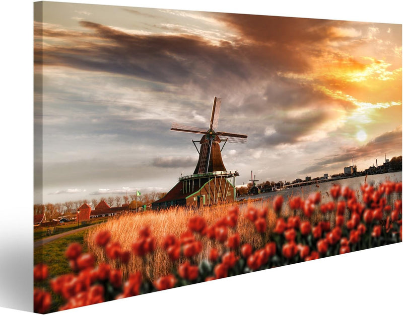 islandburner Bild Bilder auf Leinwand Traditionelle niederländische Windmühlen mit roten Tulpen in Z