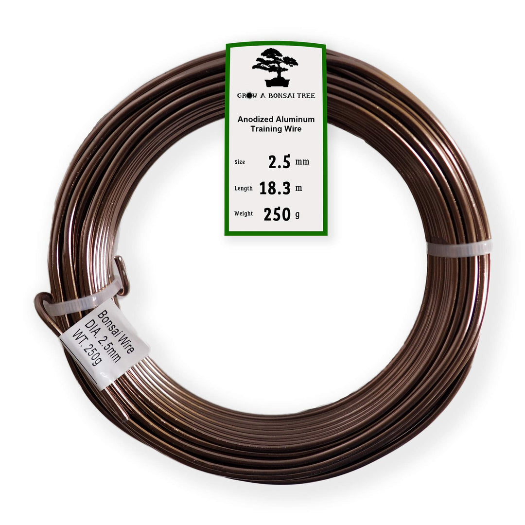Grow A Bonsai Tree Eloxiertes Aluminium 2,5mm Bonsai Draht 250g grosse Rolle (60 Feet) - (2,5mm, Bra