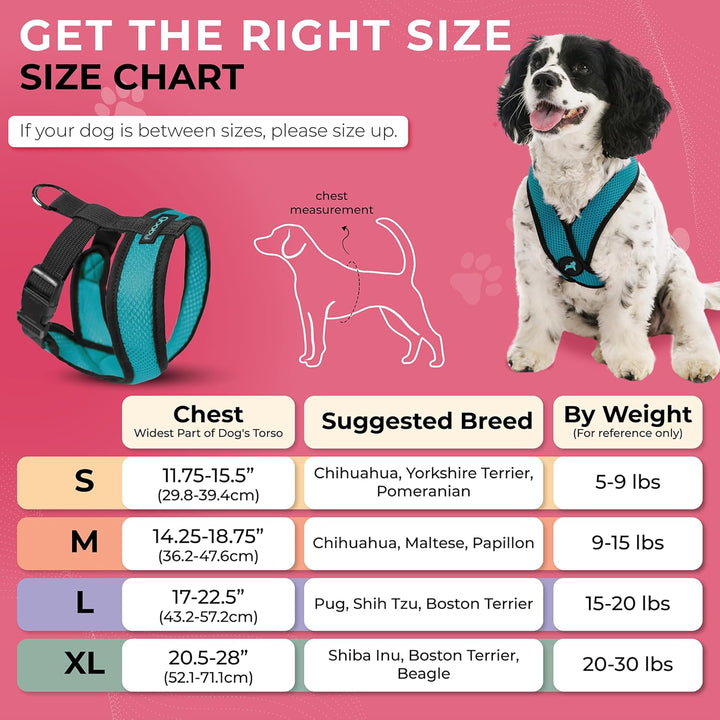 Gooby Comfort X Head in Harness - Türkis, GroÃŸ - No Pull Kleines Hundegeschirr, Patentierter Würgef