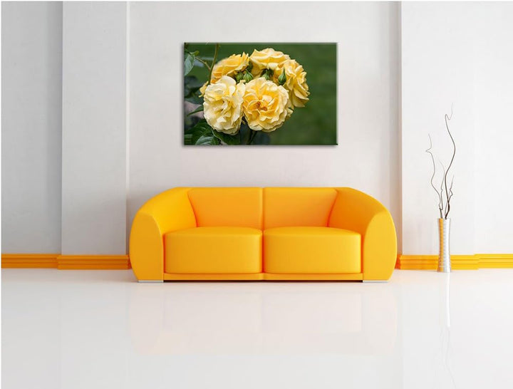 Weiss gelbe Rose Blumen USA Bild auf Leinwand, XXL riesige Bilder fertig gerahmt mit Keilrahmen. Kun