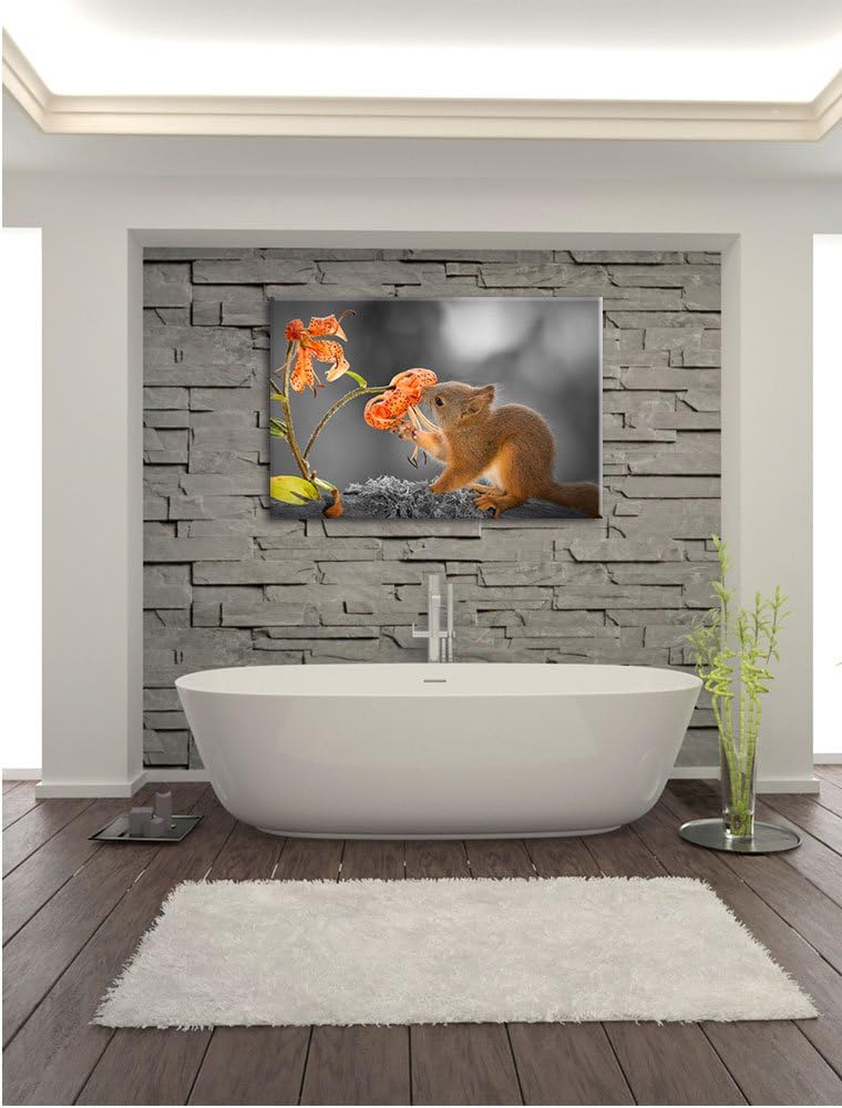 Pixxprint süsses Eichhörnchen riecht an Einer Blume B&W Detail, Format: 100x70 auf Leinwand, 100x70