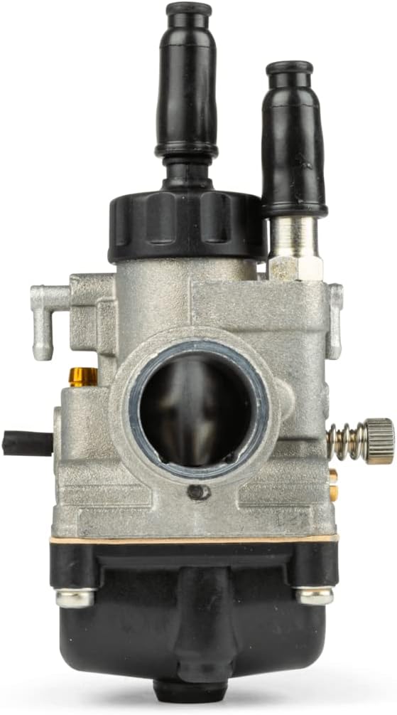 Vergaser Dellorto 19mm / PHBG 19 DS
