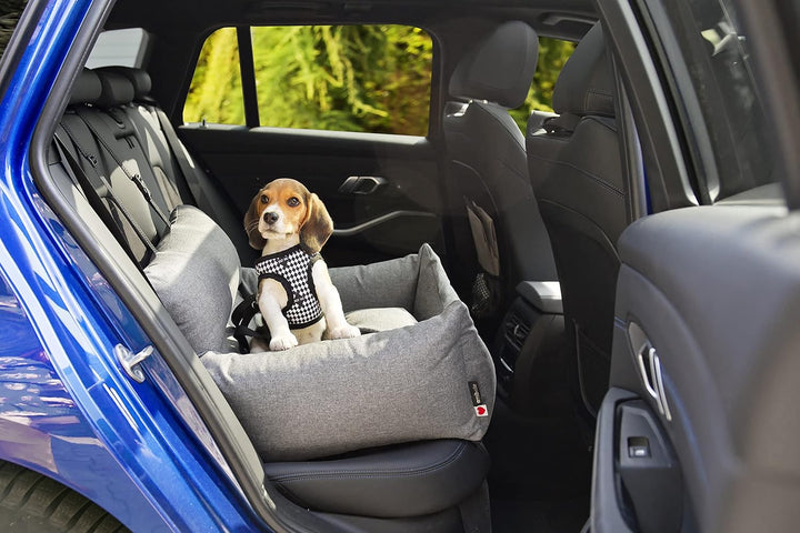 Luxuriös Hunde Auto Sitz | Autositz für Hunde, Rückbank, Vordersitz | Universal Waschbar Hundeautosi