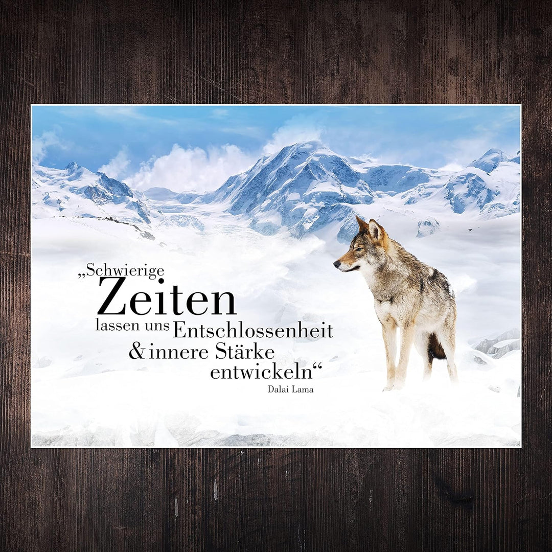 wandmotiv24 Poster als Wanddeko, Grösse 100x70cm, Wolf in den Bergen, Entschlossenheit, Wölfe, Tiere