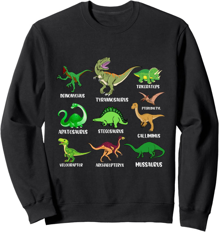 Types Of Dinosaurs - Dino Identification Graphic Sweatshirt