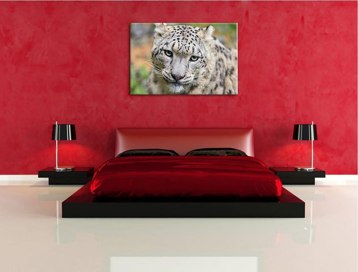 Pixxprint eleganter Schneeleopard auf Leinwand, XXL riesige Bilder fertig gerahmt mit Keilrahmen, Ku