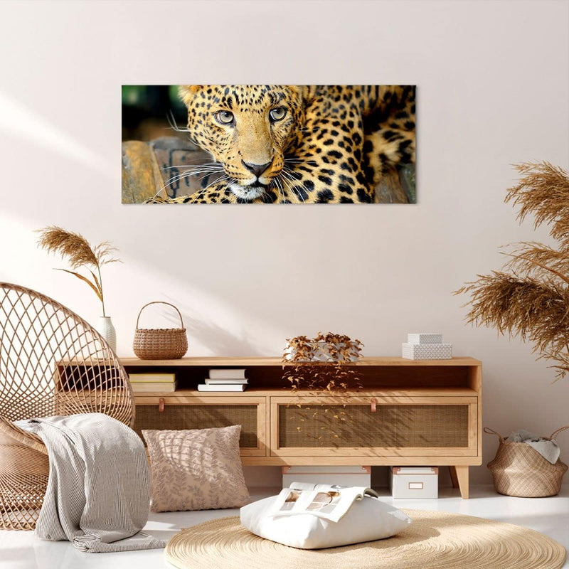 Panorama Bilder auf Leinwand 100x40cm Leinwandbild Tiere gefährlich wilde katze Gross Wanddeko Bild