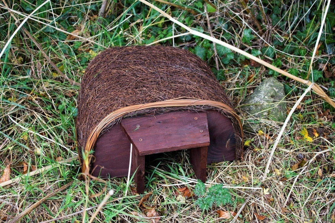 Igel Haus