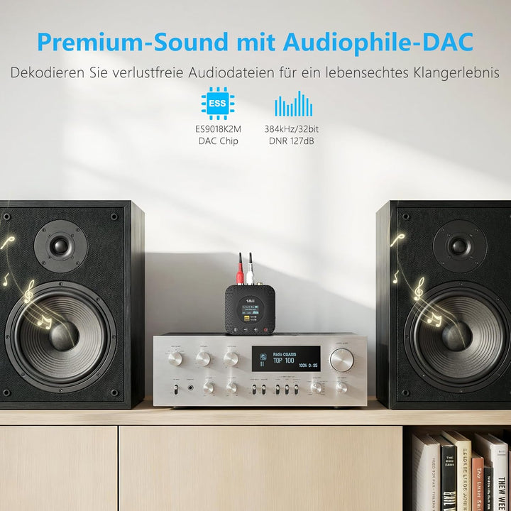 1Mii Bluetooth Receiver for Old Stereo System Schwarz, Schwarz