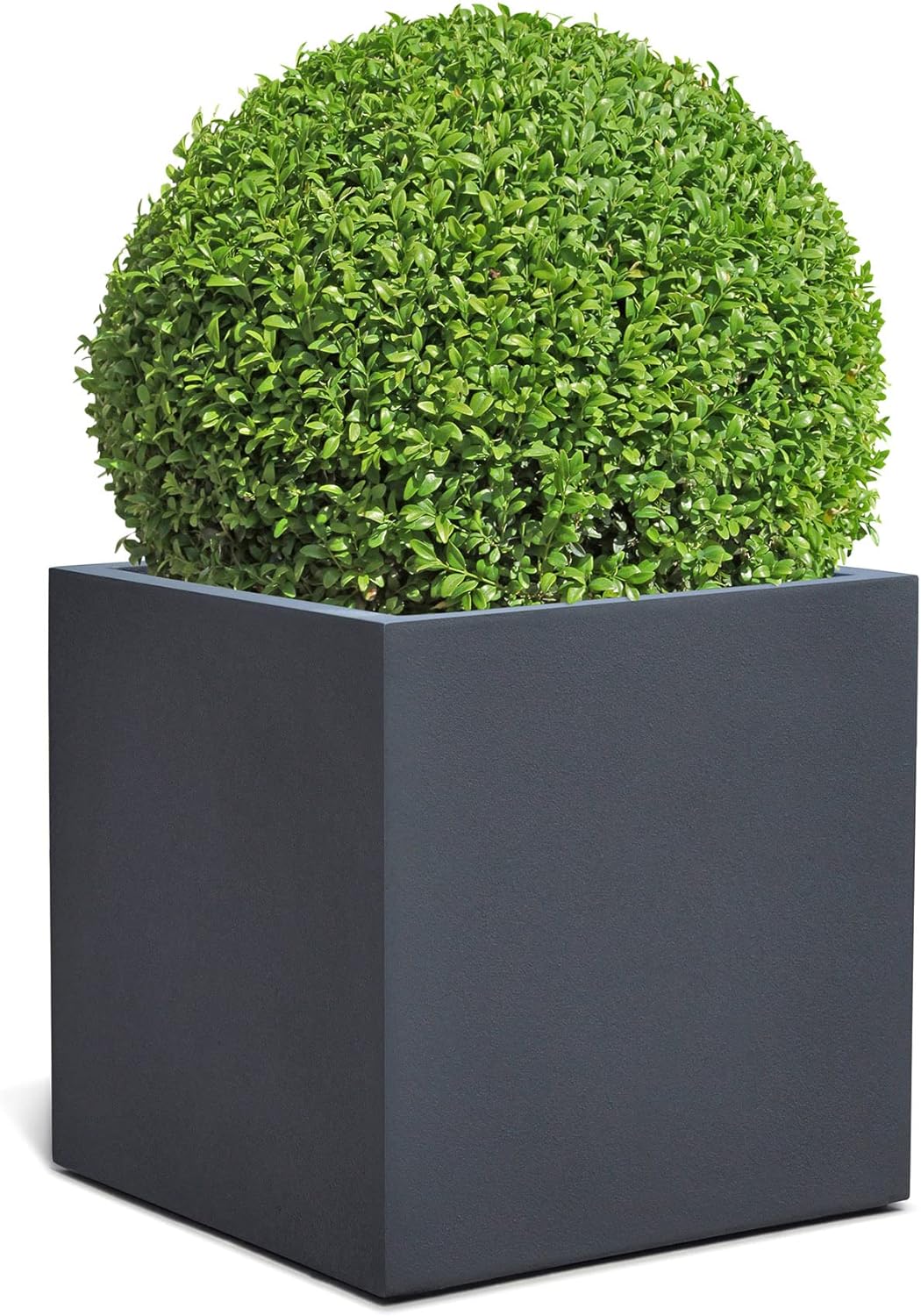 ESCHBACH® Pflanzkübel Cube 60 Anthrazit Schwarz Quadratisch XL * 60 x 60 x 60 cm * 10 Jahre Garantie