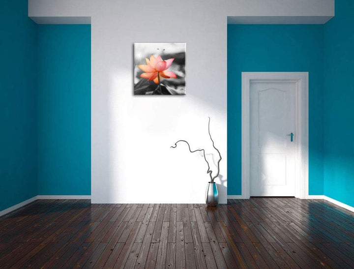 zarter Lotus schwarz/weiss, Format: 70x70 auf Leinwand, XXL riesige Bilder fertig gerahmt mit Keilra