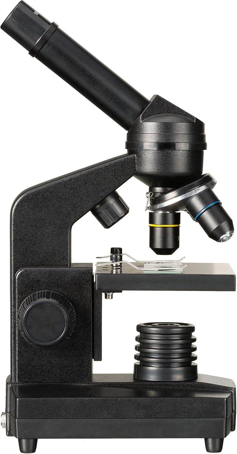 National Geographic 40-1280x Mikroskop mit Auflicht/Durchlichtbeleuchtung, Smartphone Halterung und