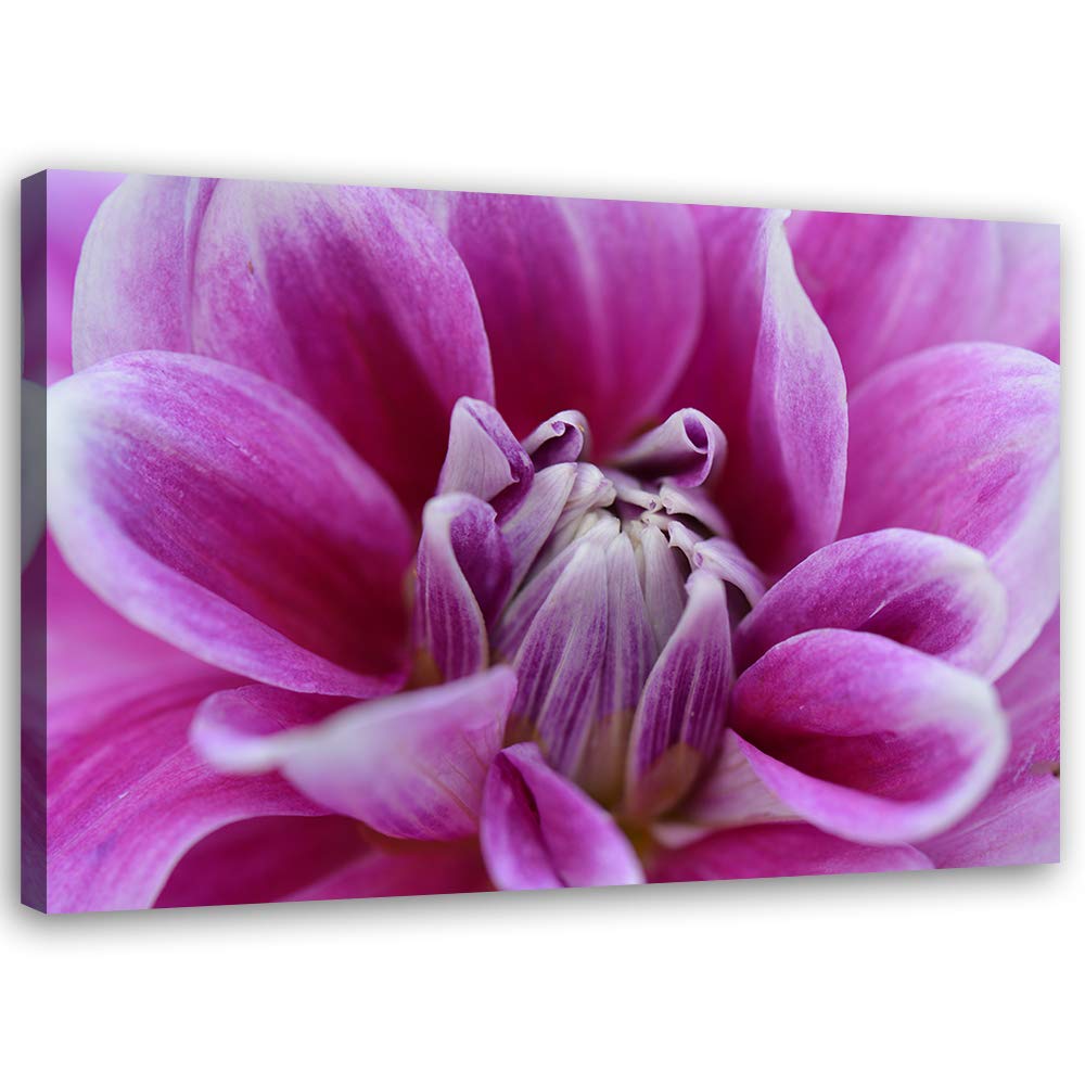 Feeby Bild auf Leinwand Natur Kunstdruck modern Pflanze Violett 80x60 cm Leinwandbild 80x60 cm Viole