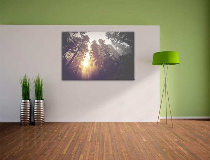 Pixxprint Blick in die Baumwipfel als Leinwandbild/Grösse: 100x70 / Wandbild/Kunstdruck/fertig bespa