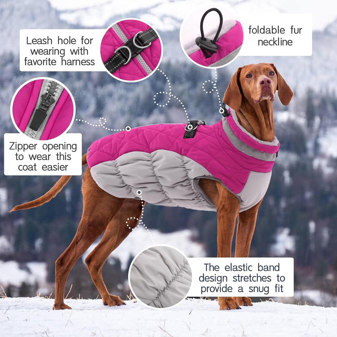 Kuoser Hunde-Wintermantel, wasserdicht, kaltes Wetter, warme Jacke für kleine, mittelgrosse und gros