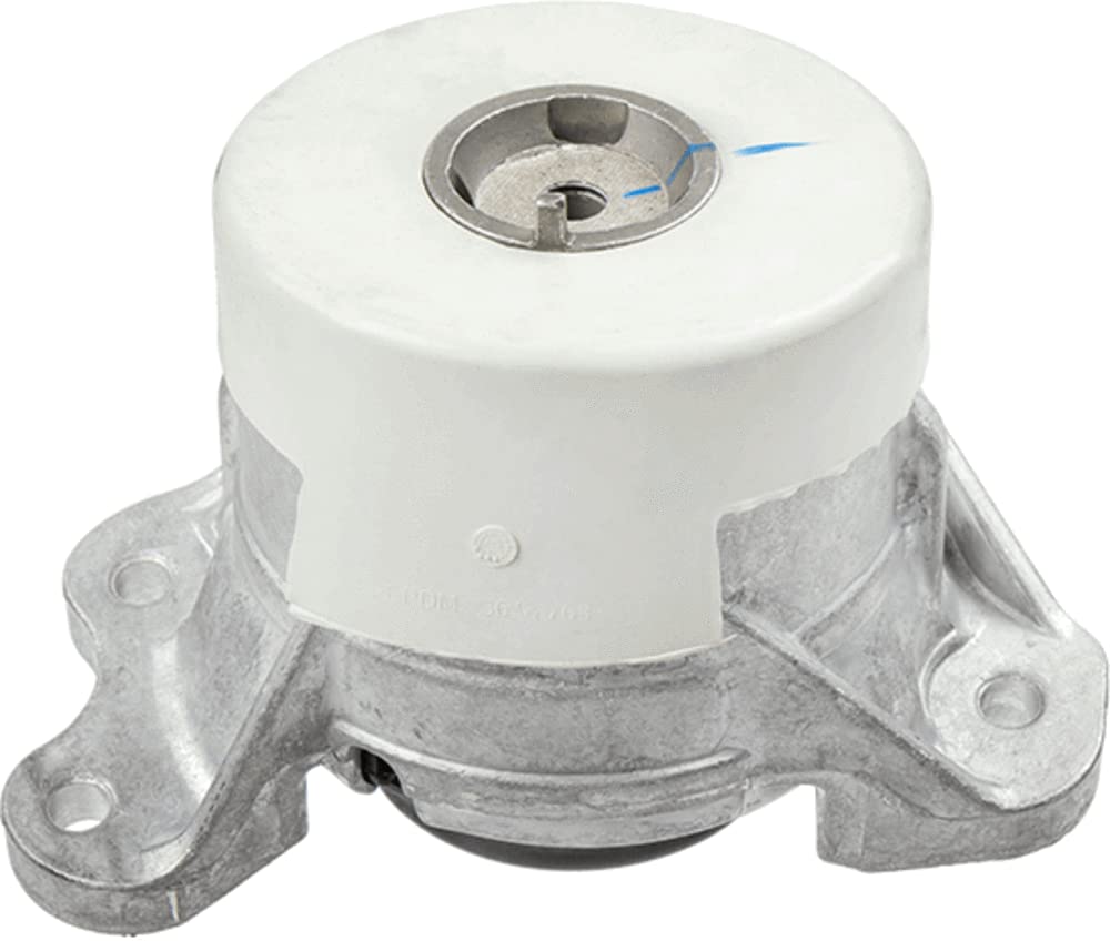 Lemförder 42527 01 - Lagerung, Motor